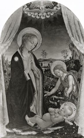 Anonimo — Anonimo fiorentino - sec. XV - Madonna in adorazione del Bambino con san Giovannino — insieme, foto rovesciata